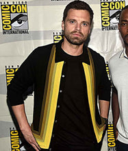 The Falcon And The Winter Soldier Sebastian Stan Jacket